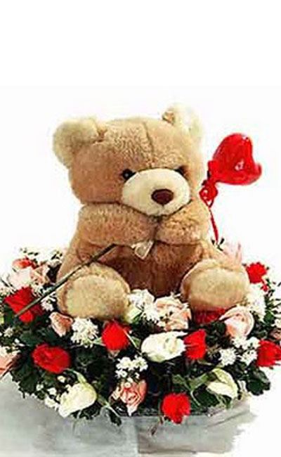 valentines day teddy bear. teddy bears valentines day.