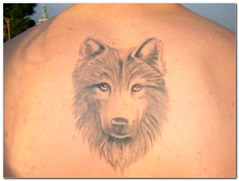 tribal wolf tattoos. Tribal Wolf tattoo design. by