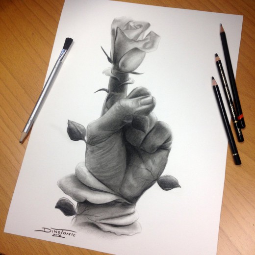 Bloom Pencil Drawing