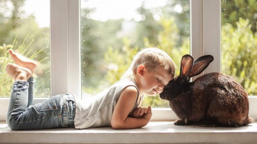 Small Boy and Little Rabbit Cute Wallpaper
